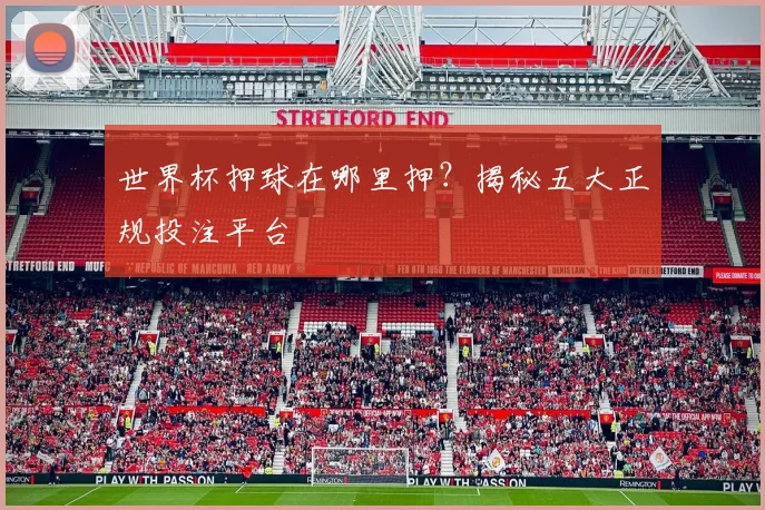 世界杯押球在哪里押？揭秘五大正规投注平台