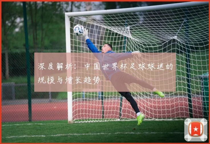 深度解析：中国世界杯足球球迷的规模与增长趋势