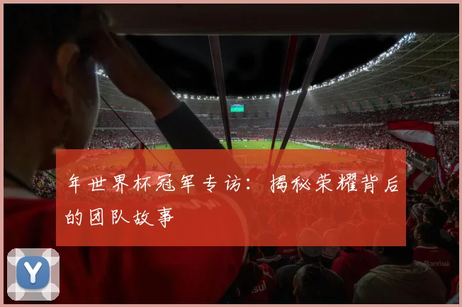 年世界杯冠军专访：揭秘荣耀背后的团队故事
