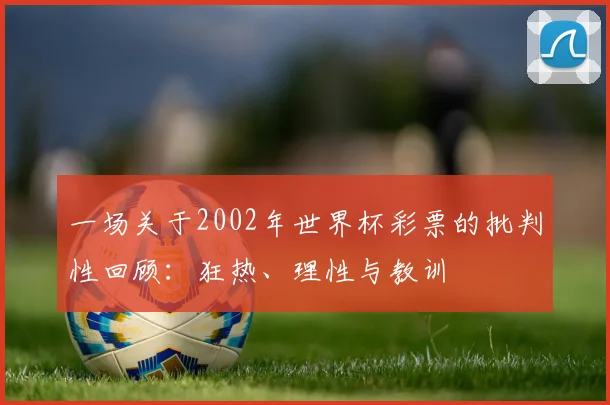一场关于2002年世界杯彩票的批判性回顾：狂热、理性与教训